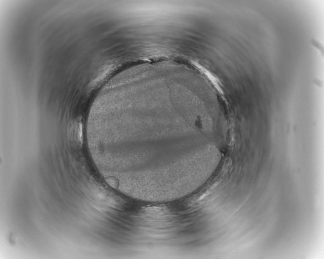 X0000093430067200711021043