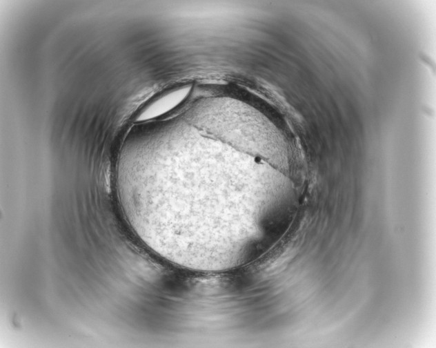 X0000093430068200711021043