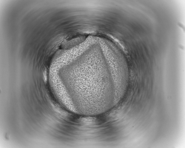 X0000093430069200711021043