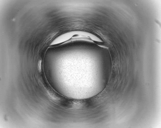 X0000093430070200711021043