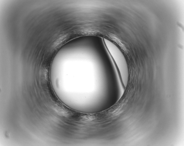 X0000093430071200711021043