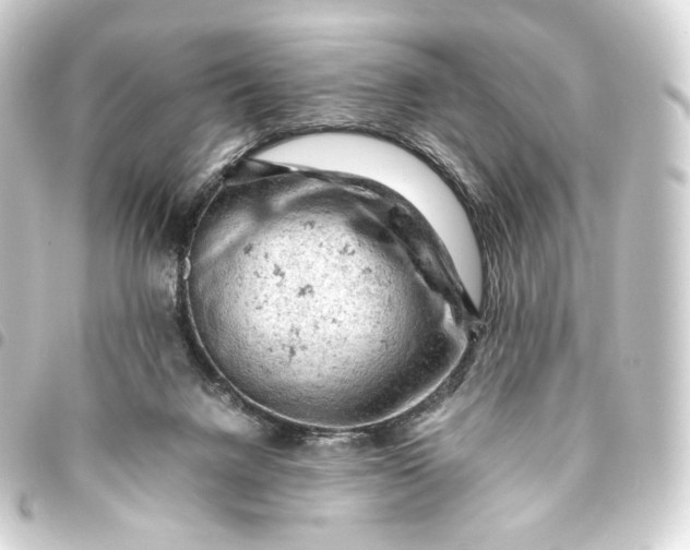 X0000093430072200711021043