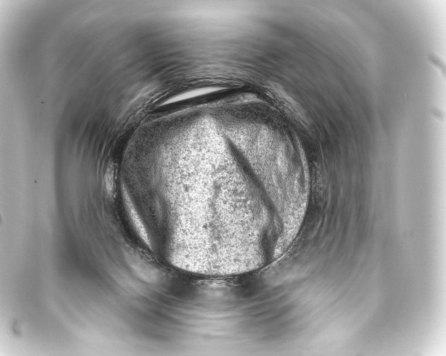 X0000093430074200711021043