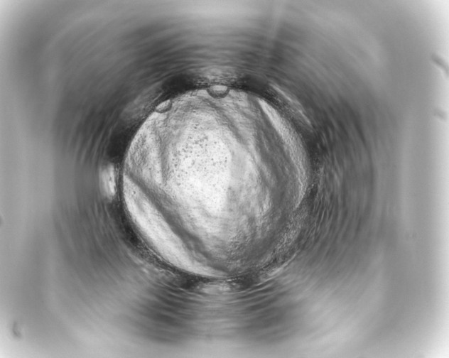 X0000093430075200711021043