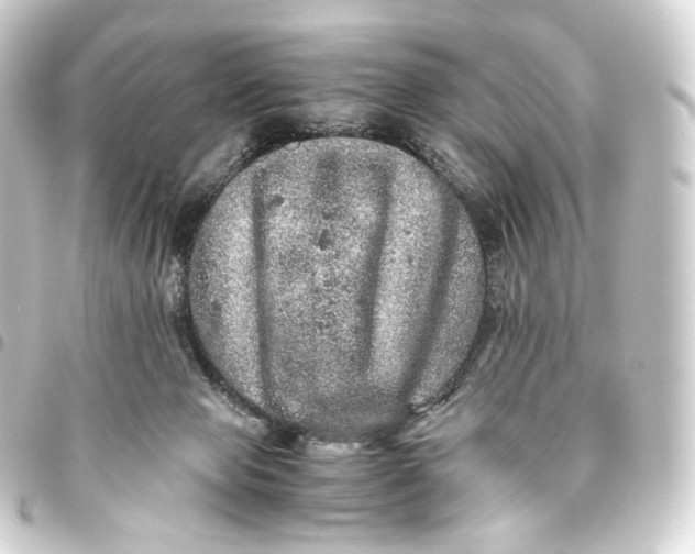 X0000093430077200711021043