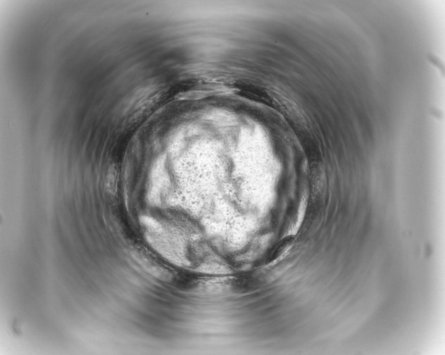 X0000093430078200711021043