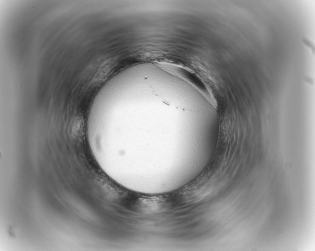 X0000093430079200711021043