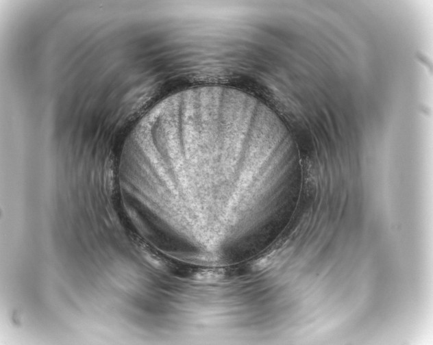 X0000093430080200711021043