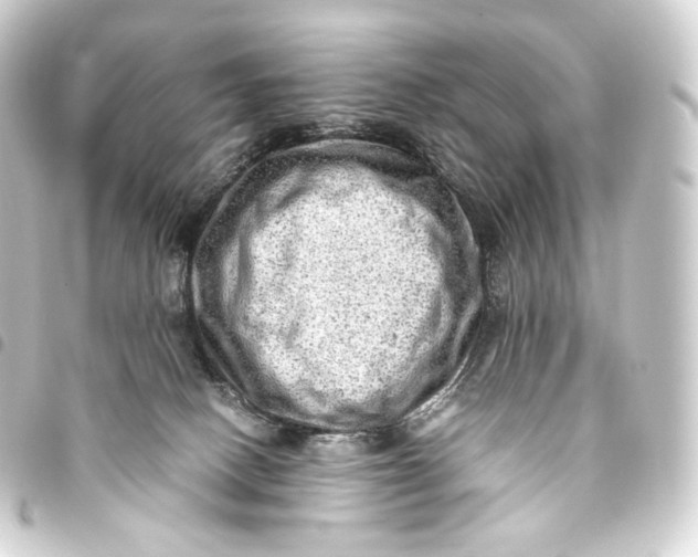 X0000093430082200711021043