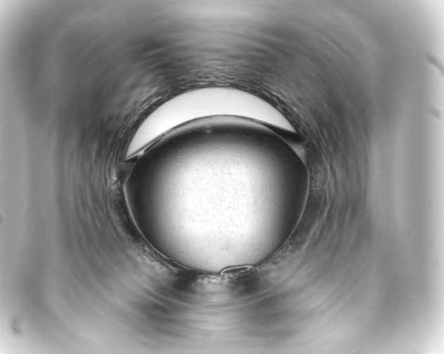 X0000093430084200711021043