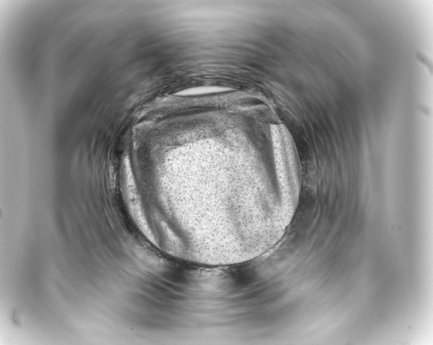 X0000093430086200711021043