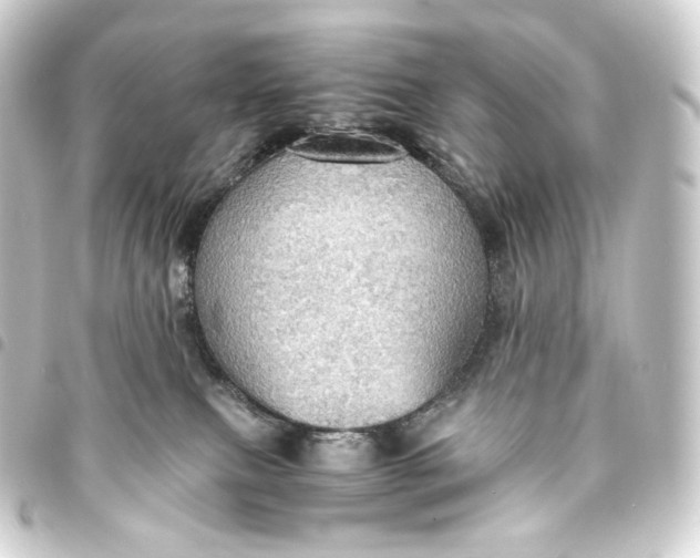 X0000093430087200711021043