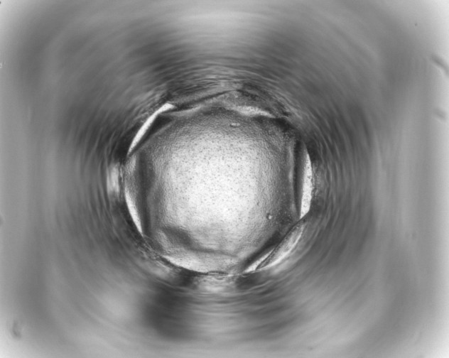 X0000093430094200711021043