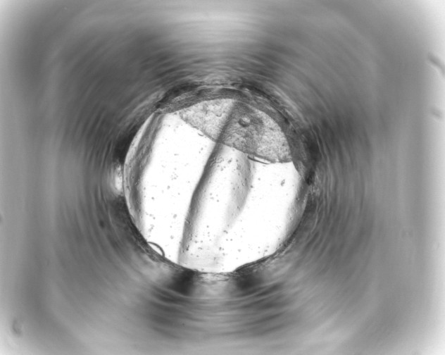 X0000093430095200711021043