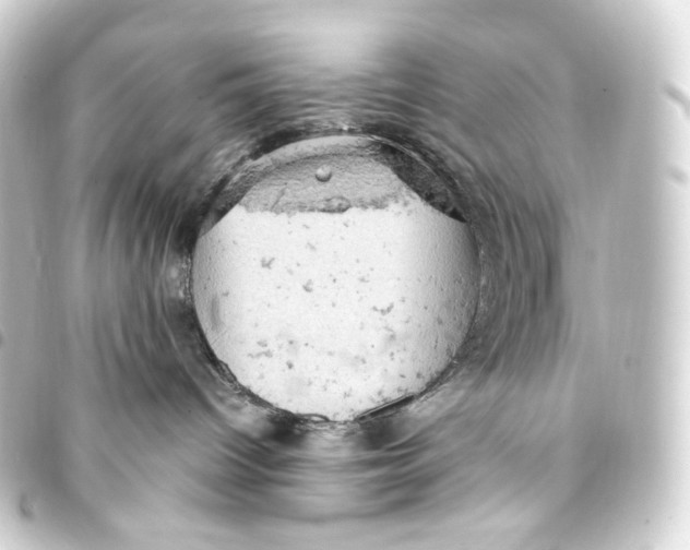 X0000093430096200711021043