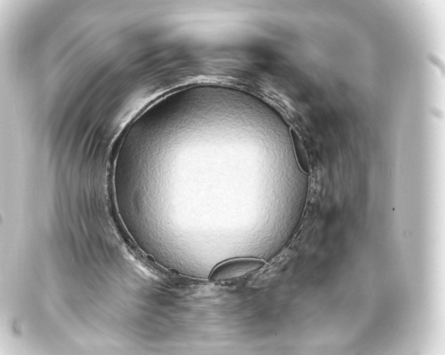 X0000093430098200711021042