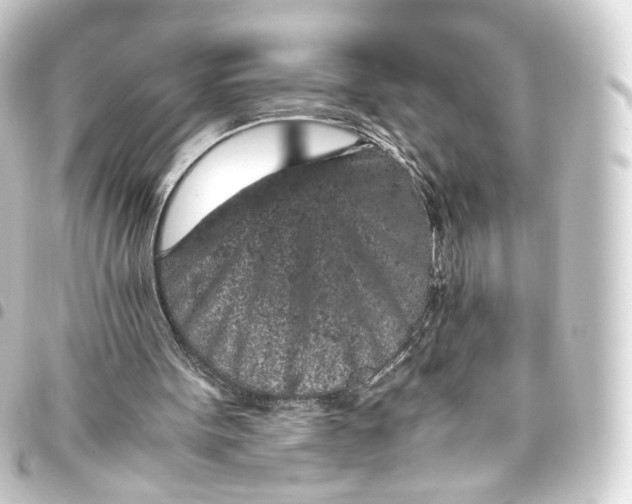 X0000093430099200711021042