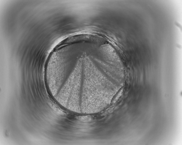 X0000093430100200711021042