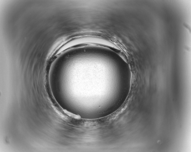 X0000093430101200711021042