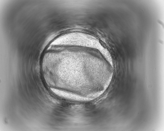 X0000093430102200711021042