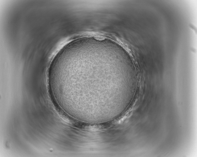 X0000093430103200711021042