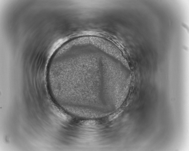 X0000093430104200711021042