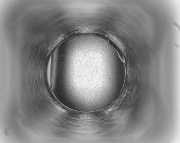 X0000093430105200711021042