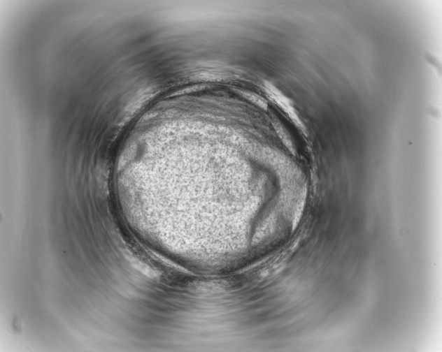 X0000093430106200711021042