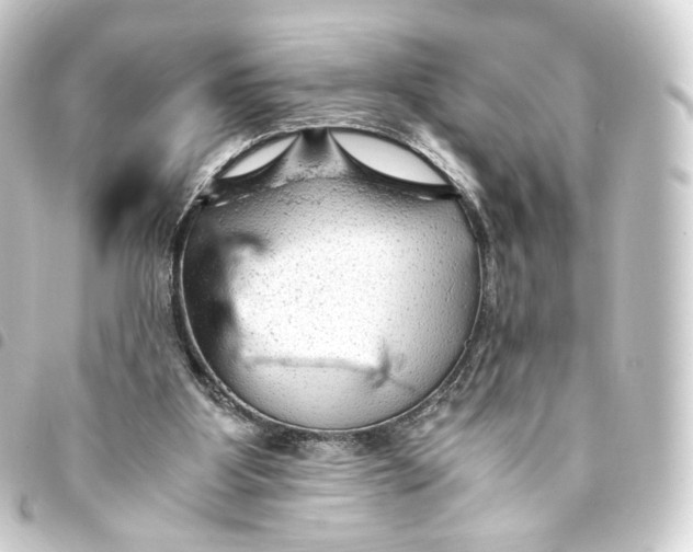 X0000093430107200711021042