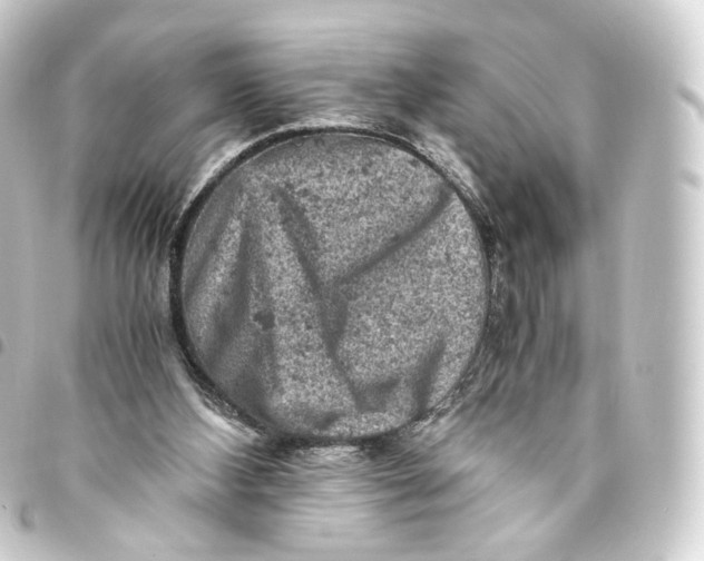 X0000093430108200711021042