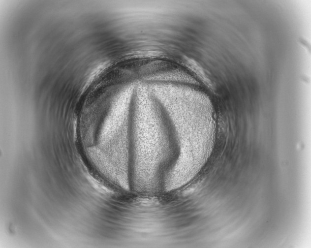 X0000093430110200711021042