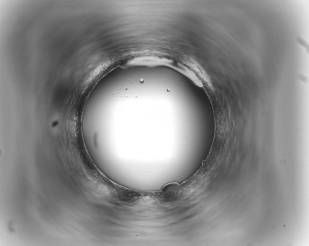 X0000093430111200711021042