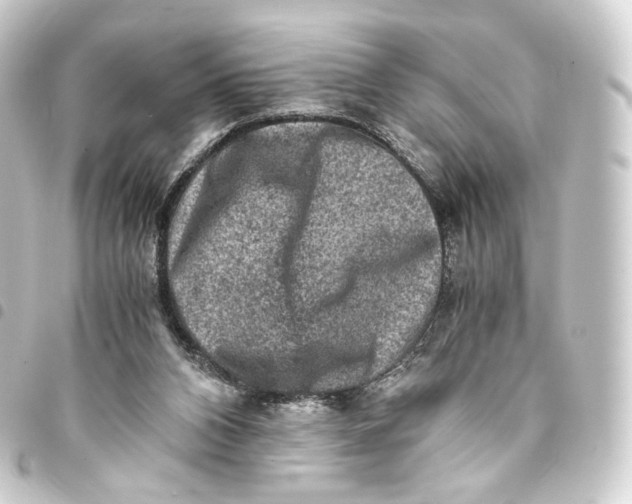 X0000093430112200711021042