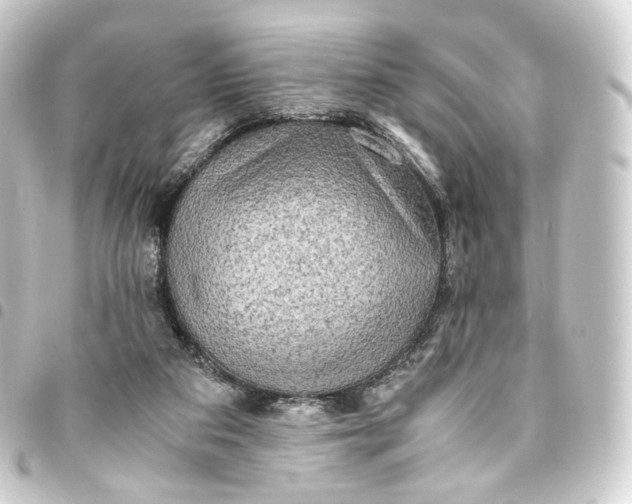 X0000093430113200711021042