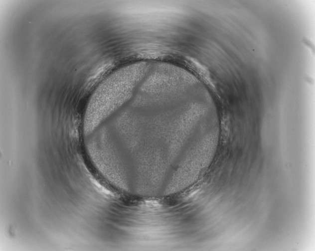 X0000093430114200711021042