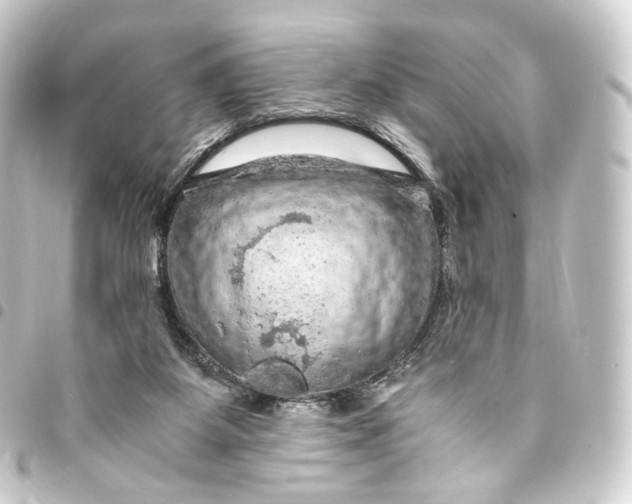 X0000093430115200711021042