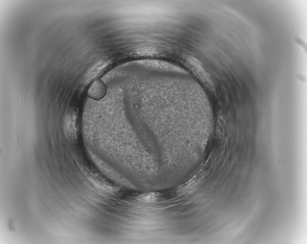 X0000093430116200711021042