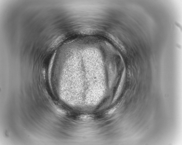 X0000093430117200711021042