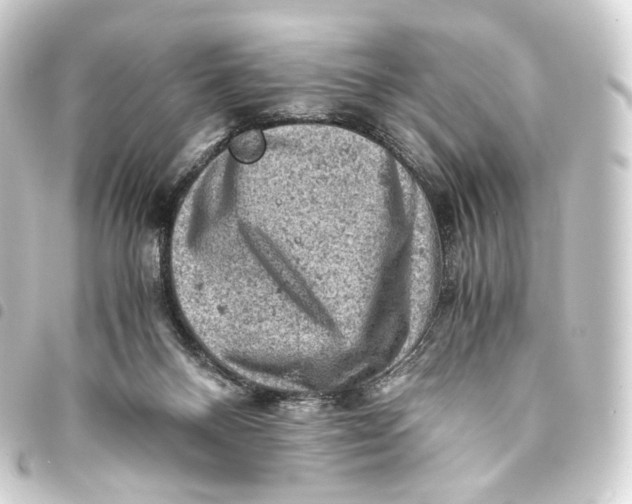 X0000093430120200711021042