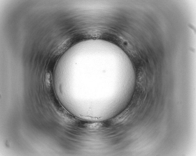 X0000093430122200711021042