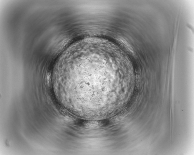 X0000093430123200711021042