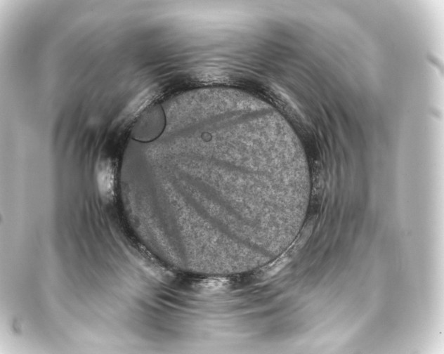 X0000093430124200711021042