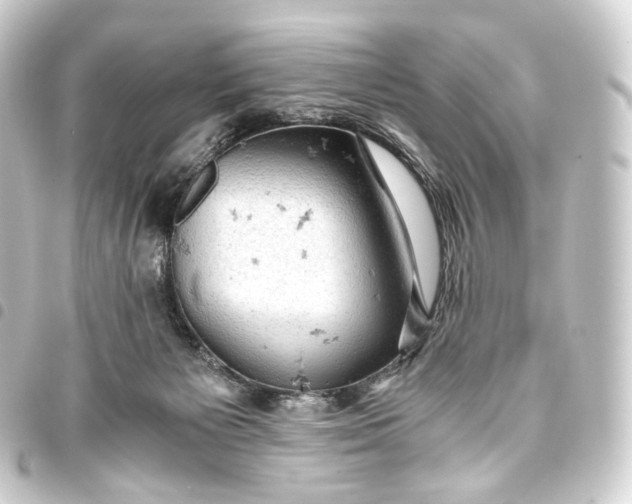 X0000093430125200711021042