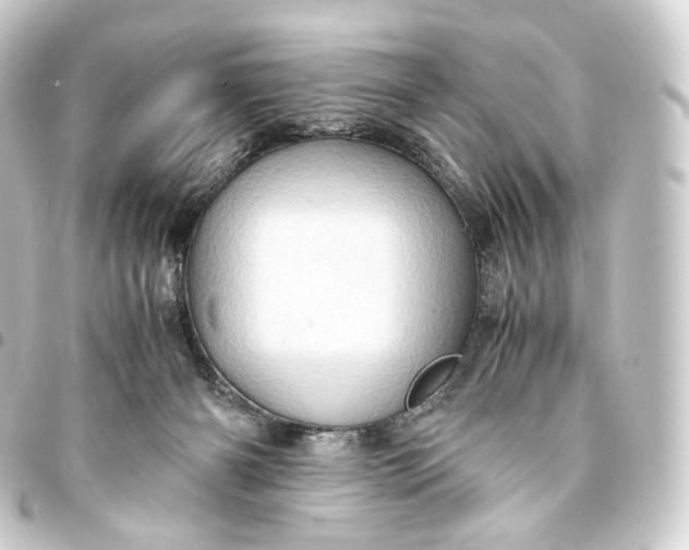 X0000093430126200711021042