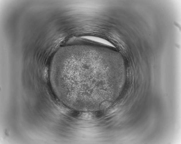 X0000093430127200711021042