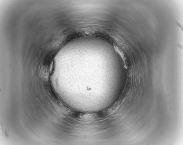 X0000093430129200711021042