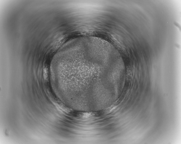 X0000093430130200711021042