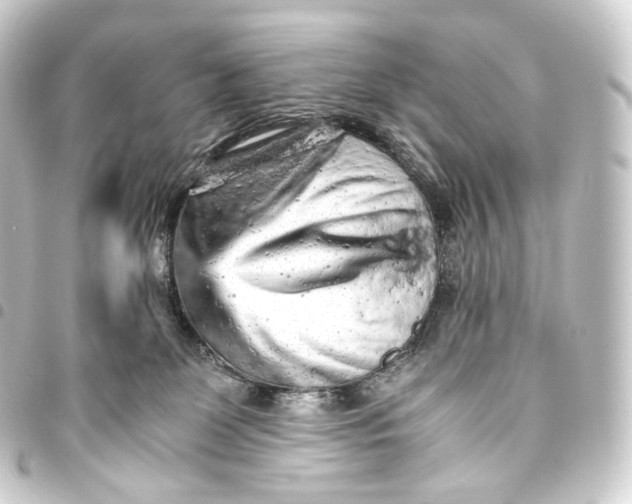 X0000093430131200711021042