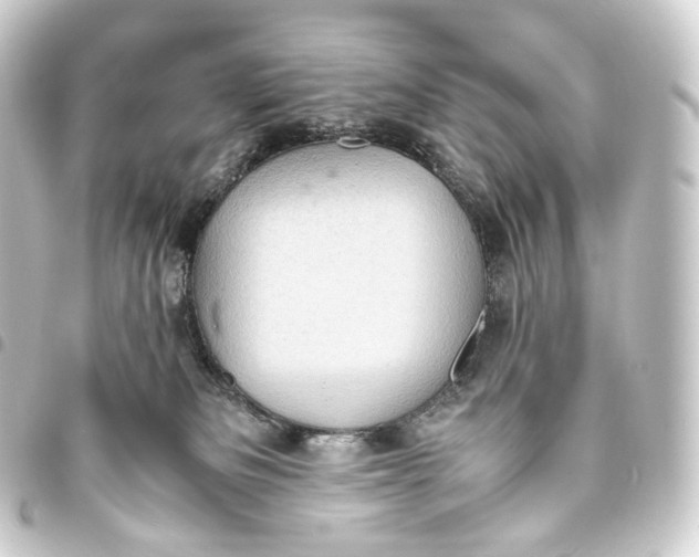 X0000093430133200711021042