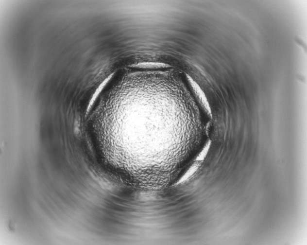 X0000093430134200711021042